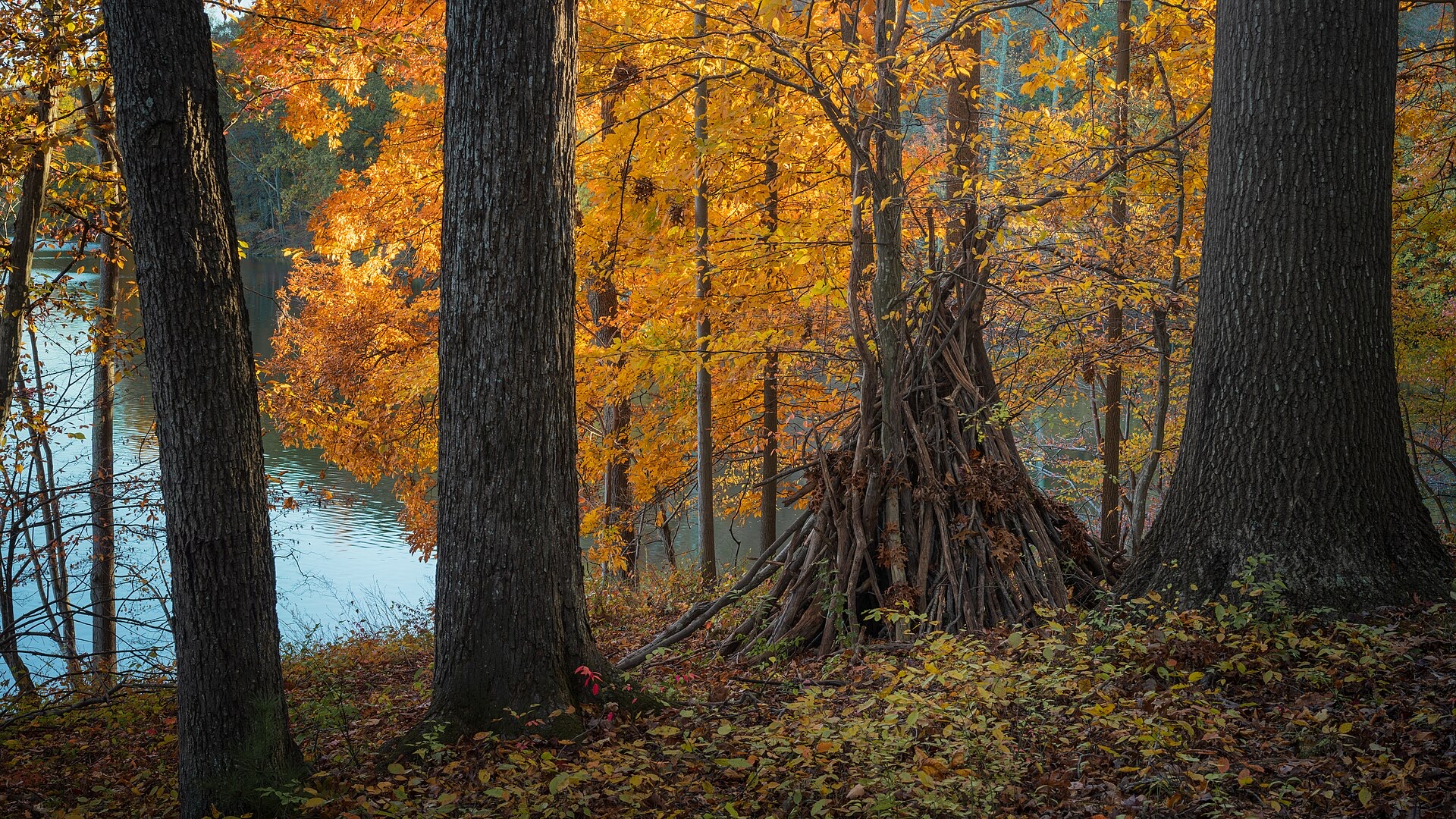 No single filming site, each of the three head-to-head competitors in a given episode builds on their own home turf/terrain across the continental US (contestants' home regions include Georgia/Ohio/Virginia, Washington State, Arizona/Iowa, Oregon, Idaho, Florida/Idaho, and Indiana); the judge does not appear on-site. landscape