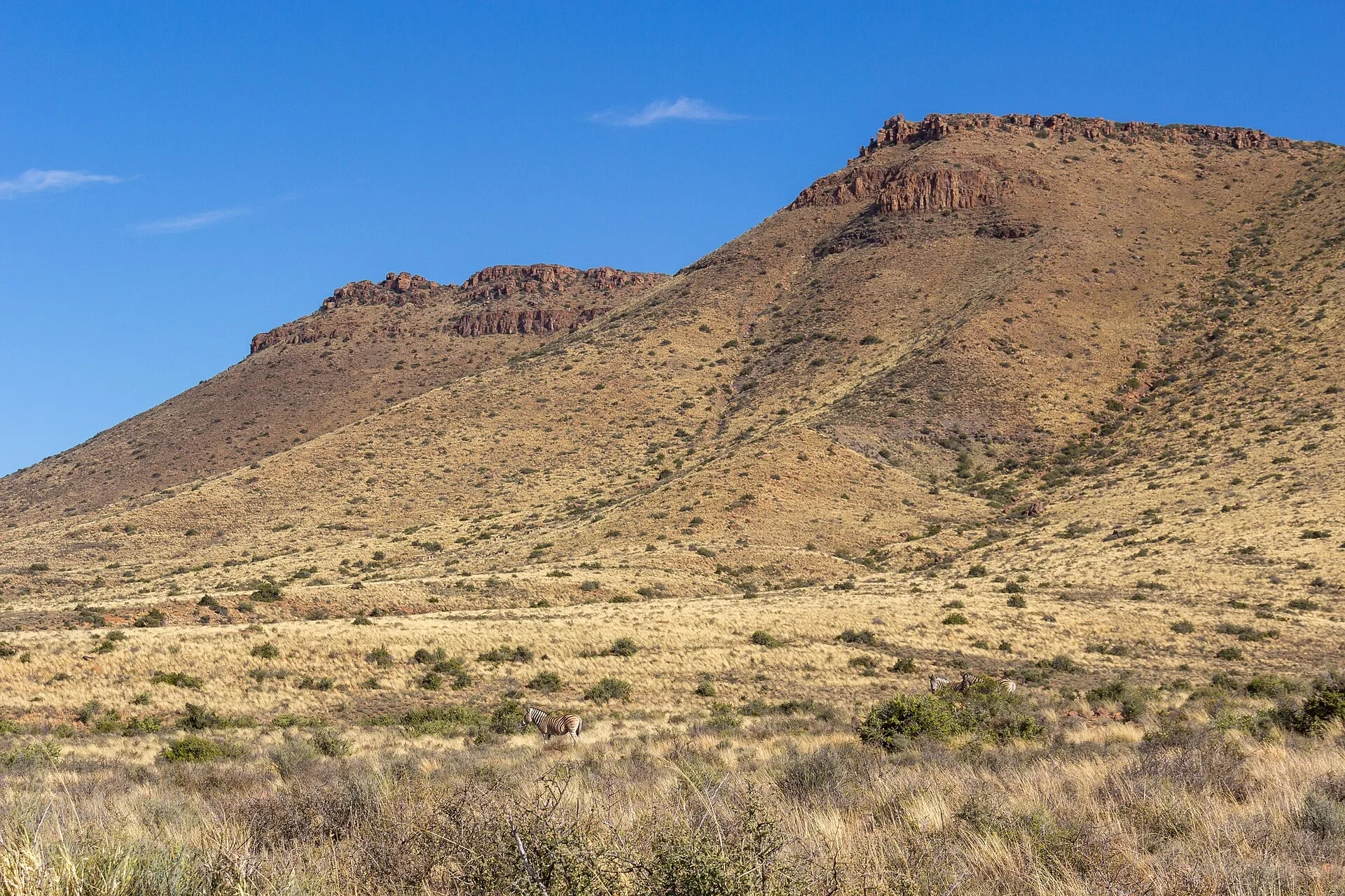 Great Karoo, a semi-arid desert region in the Eastern/Western Cape, South Africa landscape
