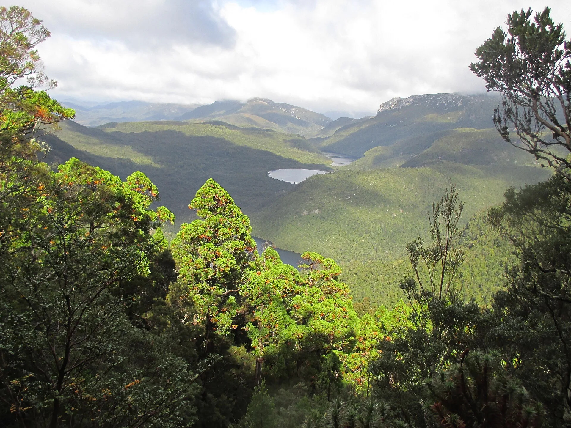 South West Tasmania, Australia (Tasmanian wilderness) landscape