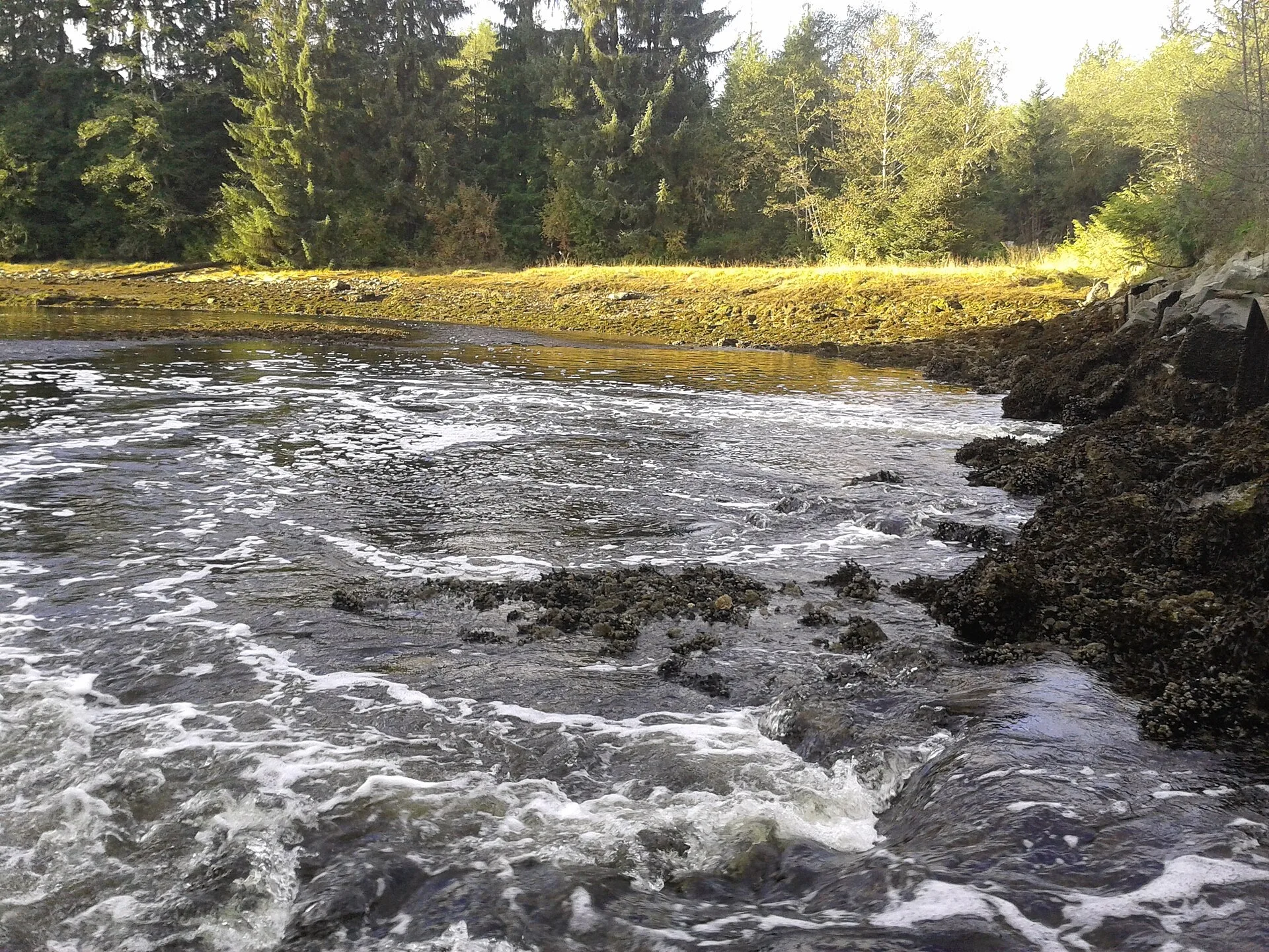 Quatsino, near Port Hardy, northern Vancouver Island, British Columbia landscape